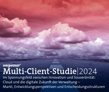 Multi-Client-Studie 2024