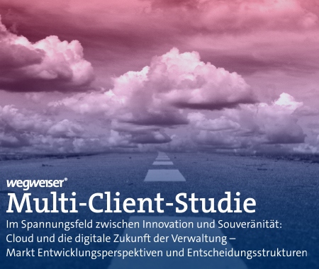 Multi-Client-Studie